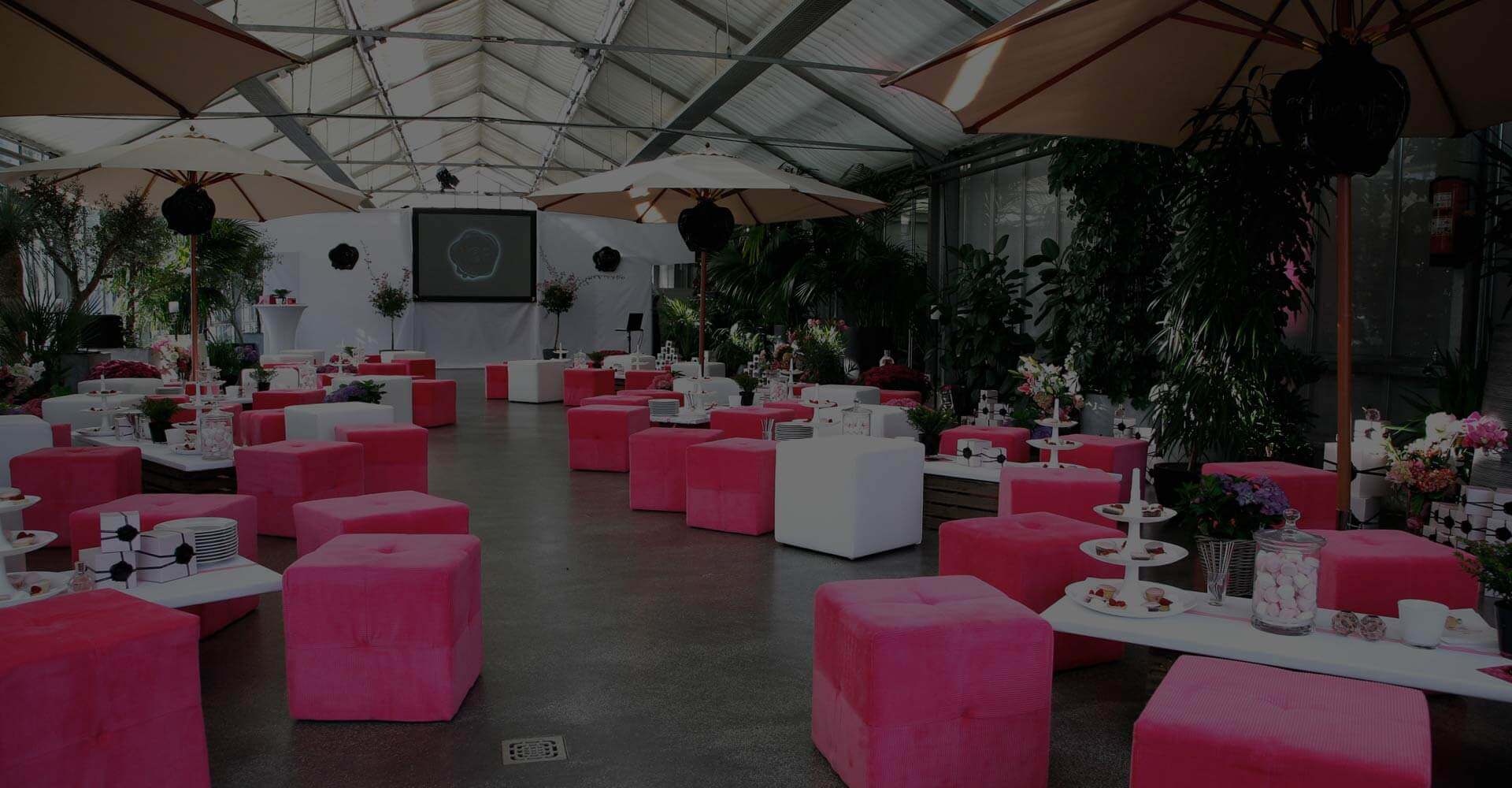 Sitzmobiliar mit pinken Sitzwürfeln
